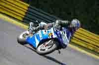 Lower Group Blue Bikes